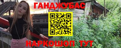 шишки Донской