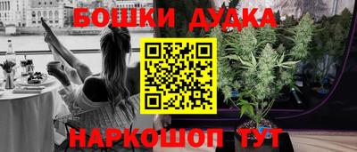 шишки Донской