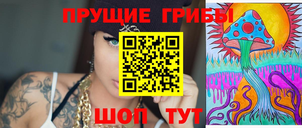 Псилоцибиновые грибы мицелий Миллерово